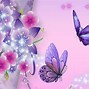 Image result for Free Wallpapers for Desktop Butterflies