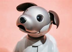 Image result for Sony Aibo Brochure