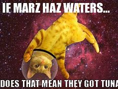 Image result for Cats On Mars Meme