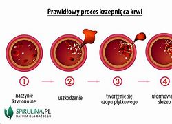 Image result for czynniki_krzepnięcia_krwi