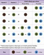 Image result for Rare Blue Eye Colors