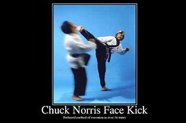 Image result for Chuck Norris Roundhouse Kick Memes