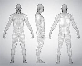 Image result for Human Blueprint