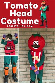 Image result for Alexa Search for Tomato Head Costume