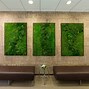 Image result for Moss Decor for House