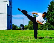 Image result for Kung Fu Training