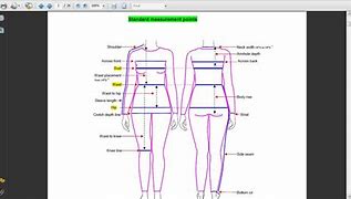 Image result for Human Back Measurement