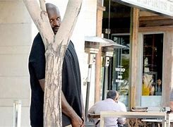 Image result for Hiding Behind Tree Meme