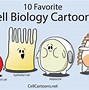 Image result for What Is Found in Cells Meme