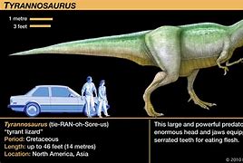 Image result for Tyrannosaurus Dinosaur List
