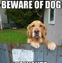 Image result for Funny New Year Dog