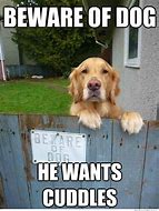 Image result for Cute Silly Funny Dog Memes