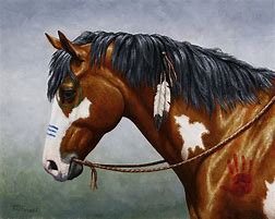 Image result for Indian War Horse