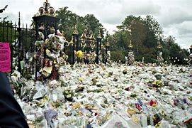 Image result for Frances Shand Kydd at Diana's Funeral