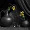 Image result for Still Life Black and White Lime