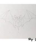 Image result for Baby Bat Drawing