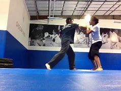 Image result for Kung Fu Wolf Style