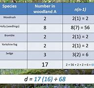 Image result for Calculating Species Diversity
