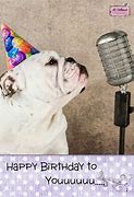 Image result for Bulldog Happy Birthday Meme
