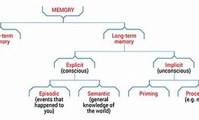 Image result for Types of Brain Memories