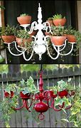 Image result for Chandelier House Plant