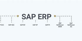 Image result for SAP Hana vs ECC