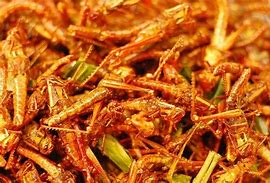 Image result for Deep Fried Crickets