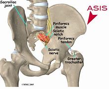 Image result for Asis Anatomy