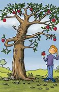 Image result for The Boy and the Apple Tree
