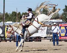 Image result for College Rodeo Cowboys