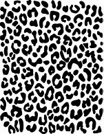 Image result for Giro Cheetah Print