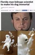 Image result for Why Meme Image