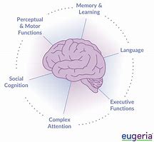 Image result for M Memory in Brain