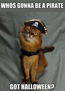 Image result for Pirate Cat Meme