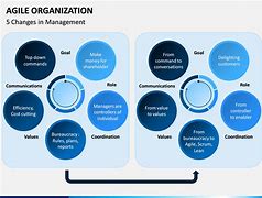 Image result for Agile Technology Startups Organizational Chart
