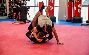 Image result for Brazilian Jiu-Jitsu