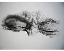 Image result for Cool Pencil Drawings Of
