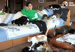 Image result for Real Cat Lady