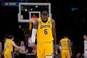 Image result for LeBron Lakers Shruggs