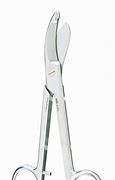 Image result for Plaster Scissors