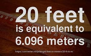 Image result for How Long Is 20 Meters