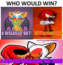 Image result for Rouge and Knuckles Meme