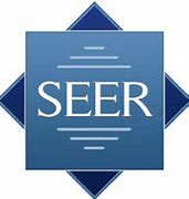 Image result for Seer Bit Logo