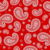 Image result for Simple Paisley Pattern