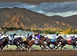 Image result for Breeders' Cup Field