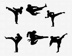 Image result for Barang Martial Arts