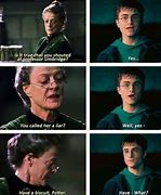 Image result for Harry Potter Funny Cat Memes Clean