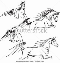 Image result for Arabian Horse Line Drawing