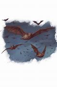 Image result for Sootwing Bat Dnd