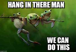 Image result for I'm Hanging in There Meme